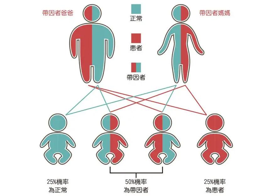 把10头公羊和10头母羊，放到有森林的孤岛上，10年后会怎么样？