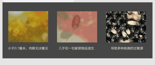 被子有异味不用洗不用晒教你一招,被子盖久了有异味教你一招除异味