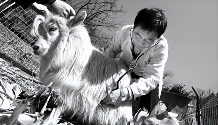 李宝成流氓案怎么判刑,李宝成性侵案