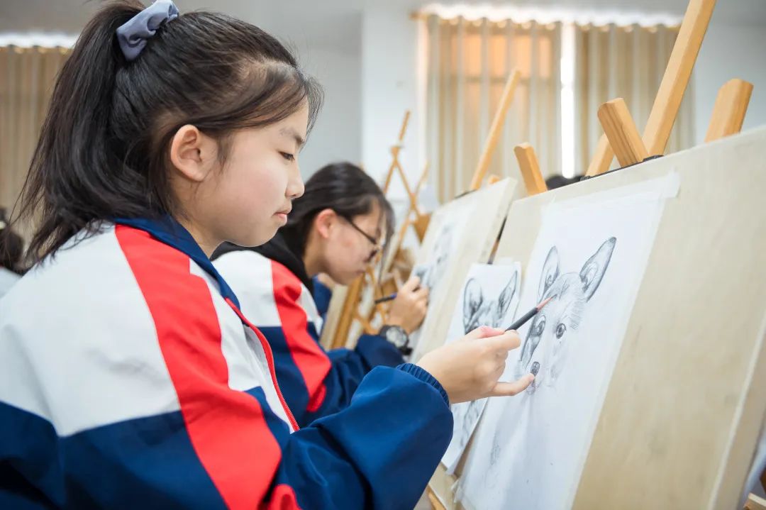 潍坊市奎文区圣卓实验学校小学部,潍坊市奎文区圣卓实验学校航拍