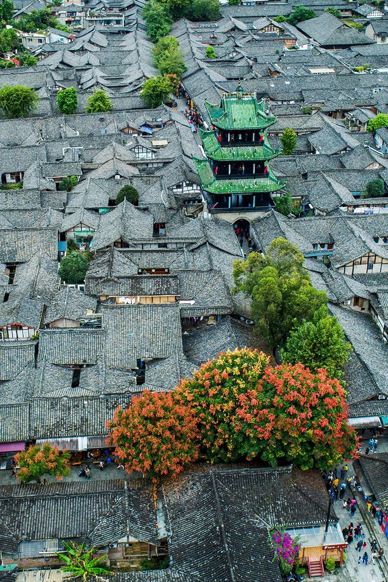 什么是南充菜,什么是南充菜图片