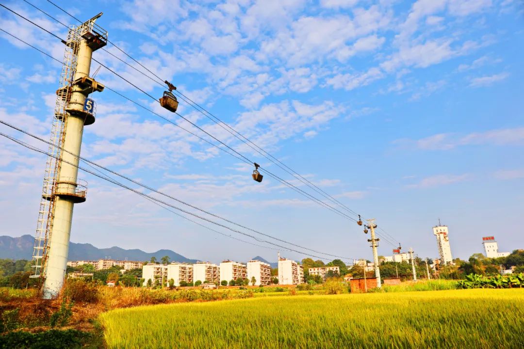 广晟集团控股上市公司中金岭南：坚持高质量发展加快建设千亿级、世界一流的多金属国际化全产业链资源公司