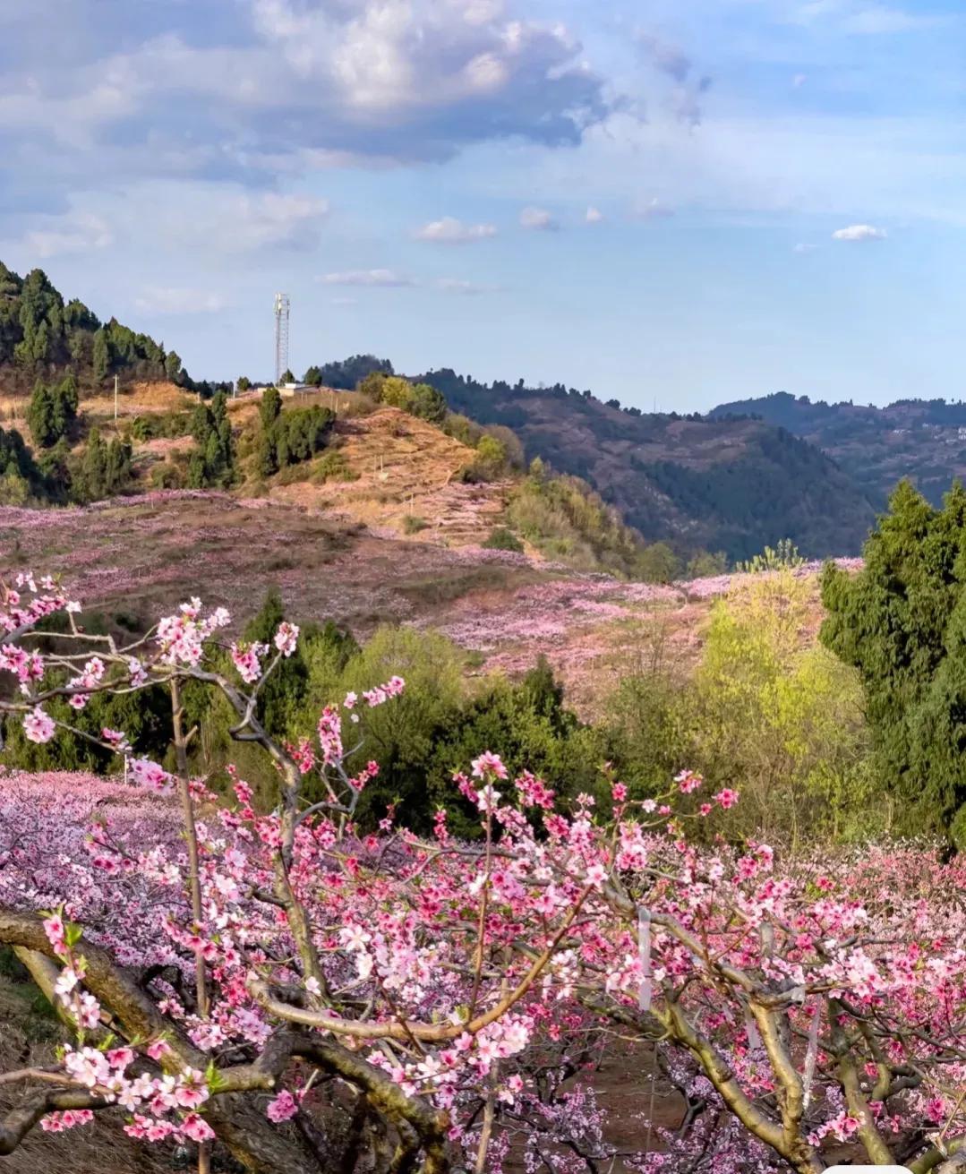 成都孩子室内好玩的地方推荐,一天来回成都周边好玩的地方