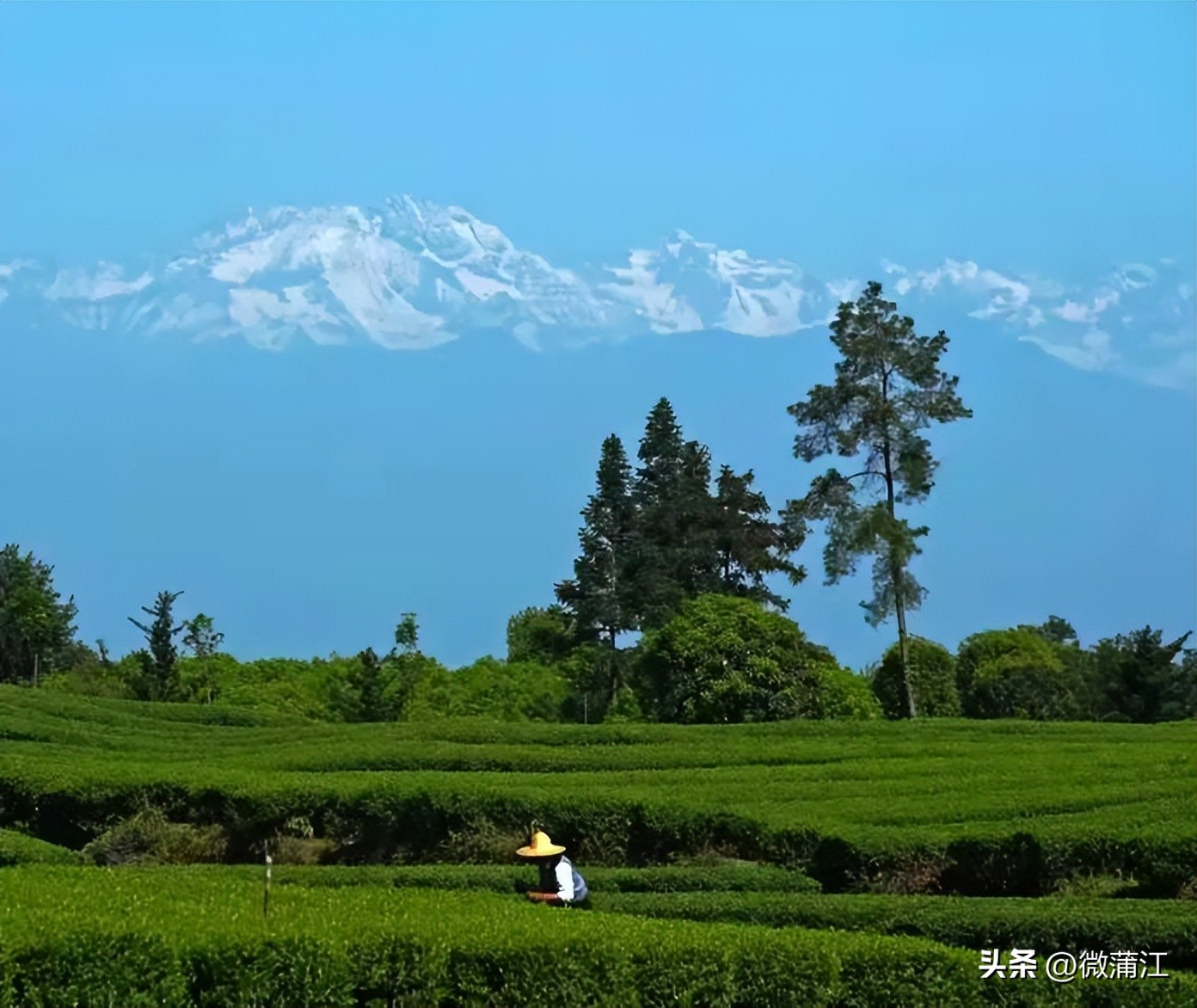 四川省蒲江县最美生态乡村,蒲江网球场