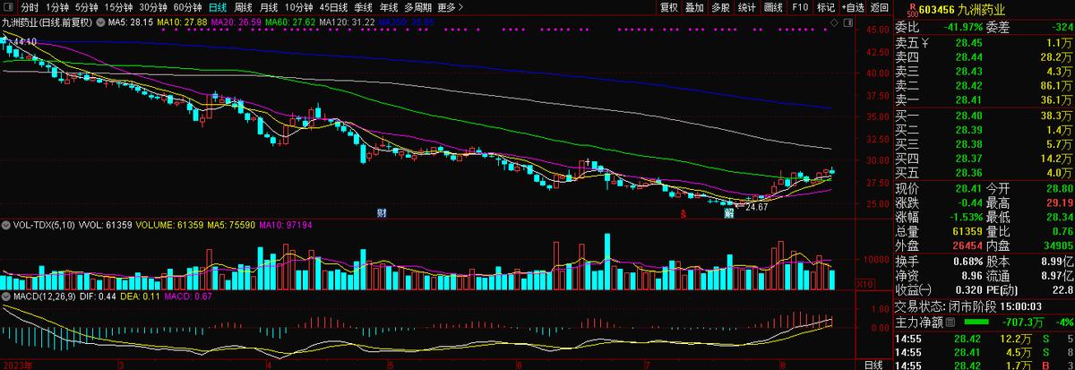 原料药、CDMO之九洲药业（603456）