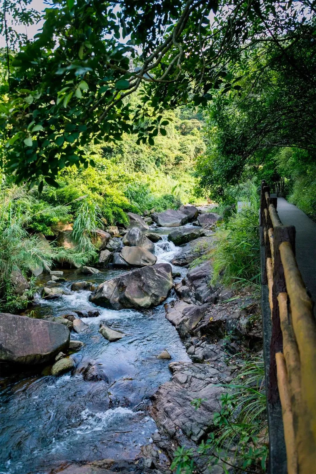 周末来深圳这10个地方免费玩,深圳周末去哪玩免费的地方