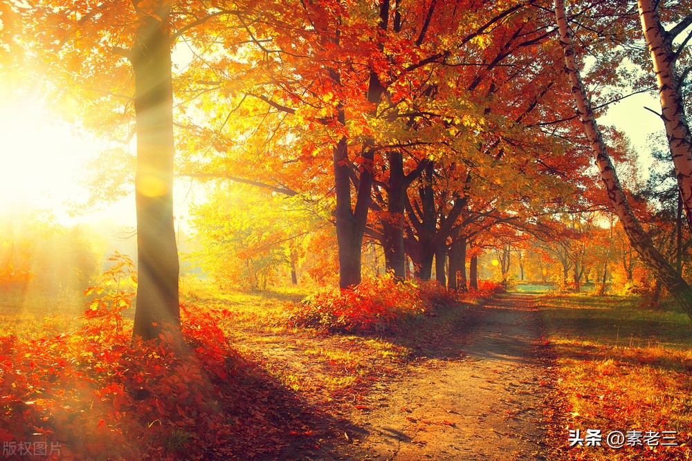 女作家去做保姆463,女作家去做保姆584