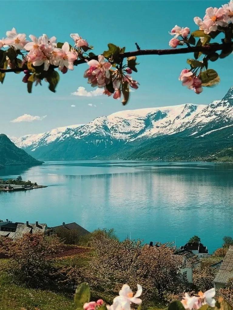 姹熷崡鐑熼洦姘翠埂椋庢櫙,娆ｈ祻缇庝附姘翠埂椋庢櫙