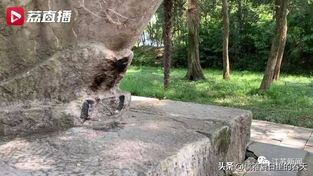 伤心！南京灵谷寺明代龟趺脖子被游客蜡熏黑或不可逆损伤