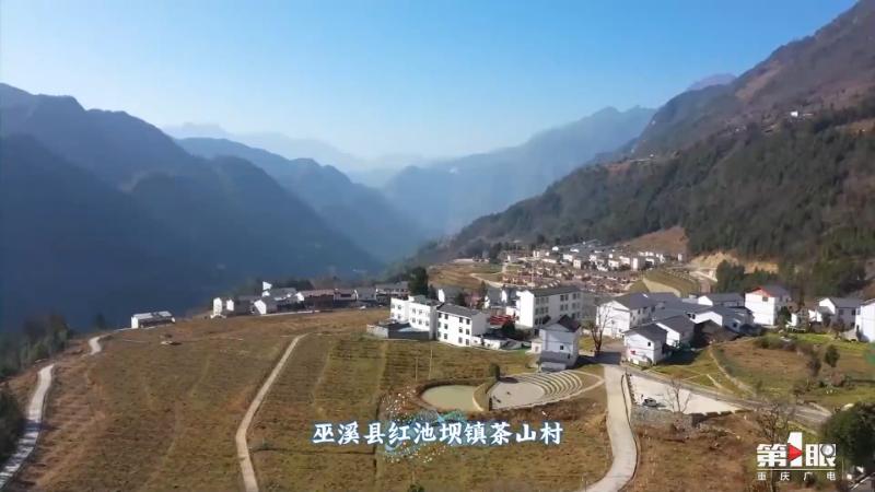 重庆游长江三峡的体验,重庆旅游攻略精彩瞬间记录