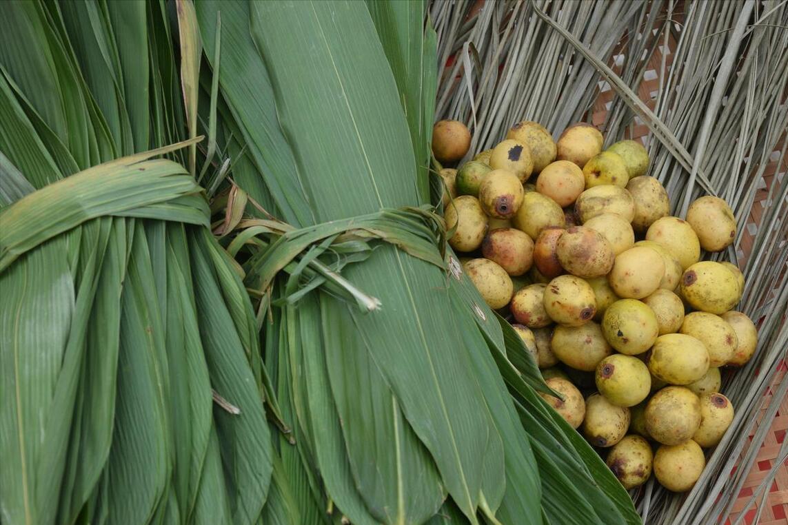 煮粽叶，只用水煮就“废了”，多做2步，粽叶更清香，柔软韧性强