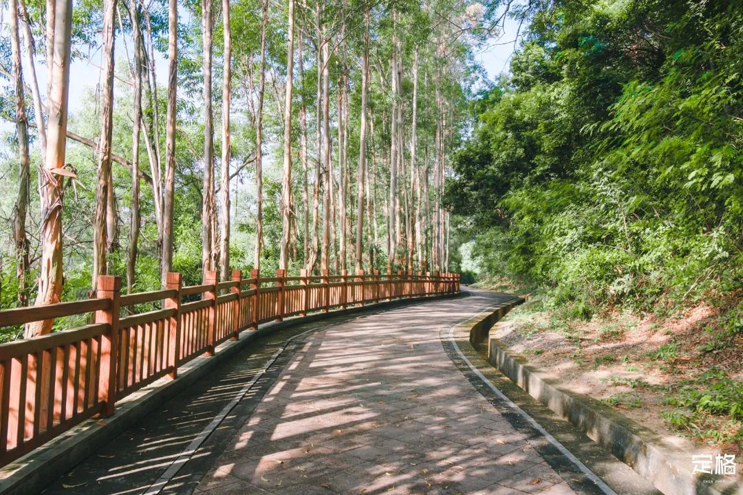 深圳一日游必去的地方,深圳吃货必去的地方