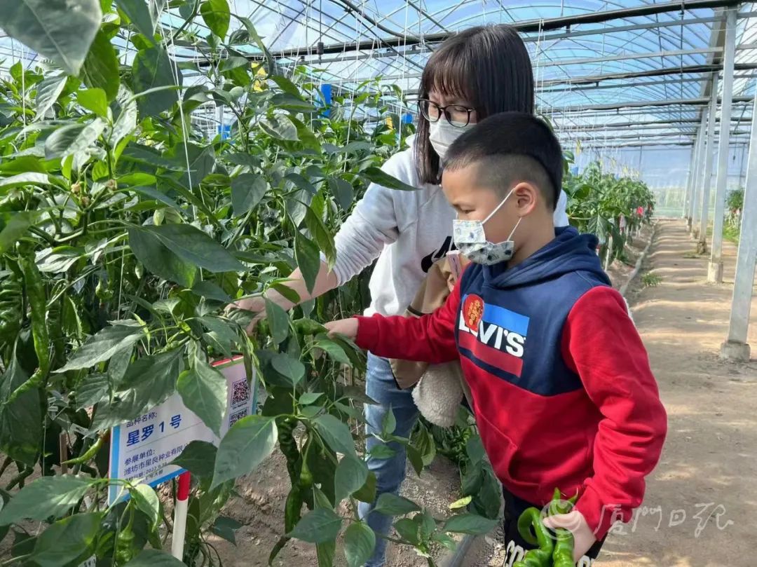春节厦门,春节去厦门
