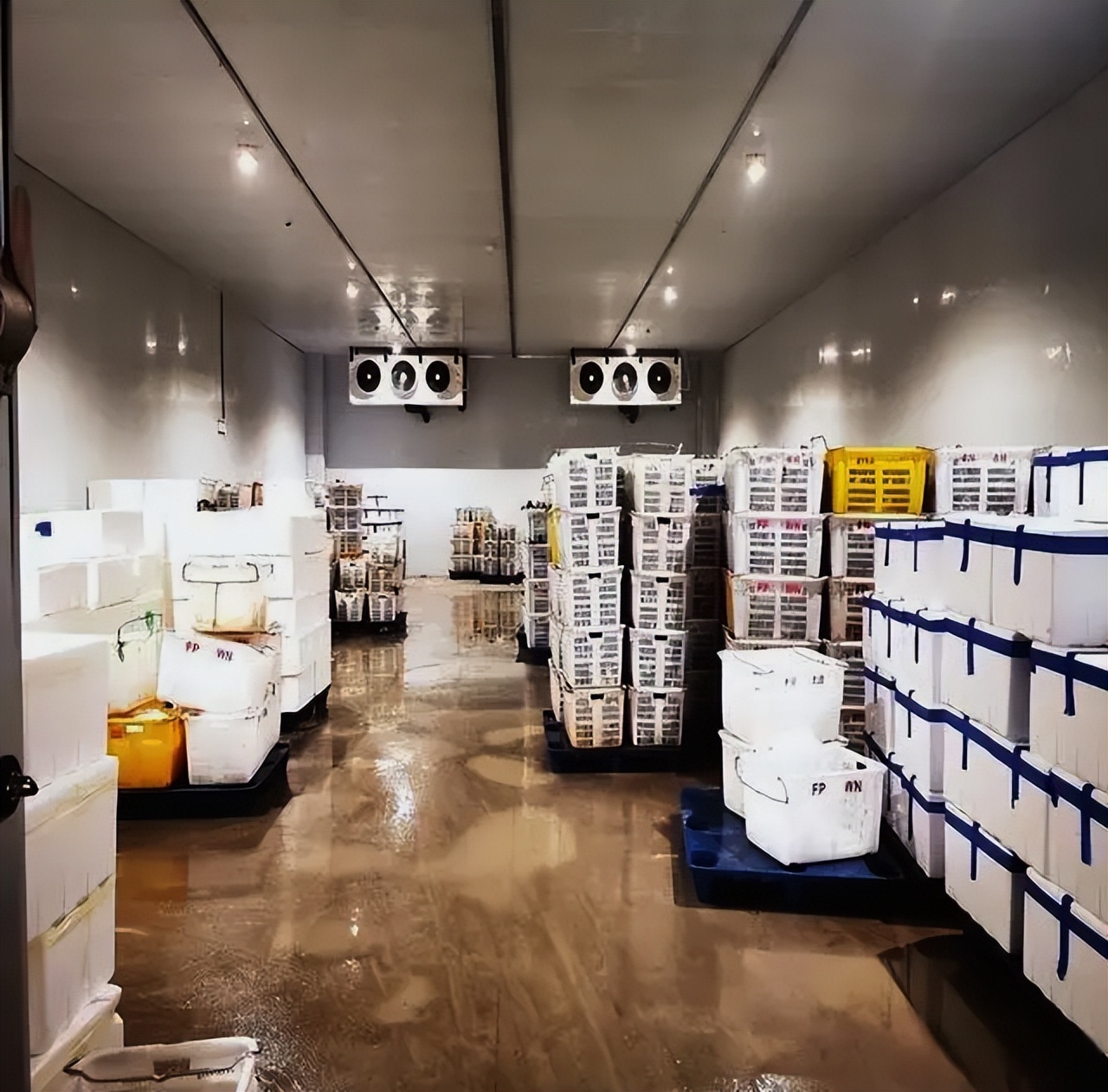 贵阳产地初加工冷链物流项目,农产品冷链物流现状及发展趋势