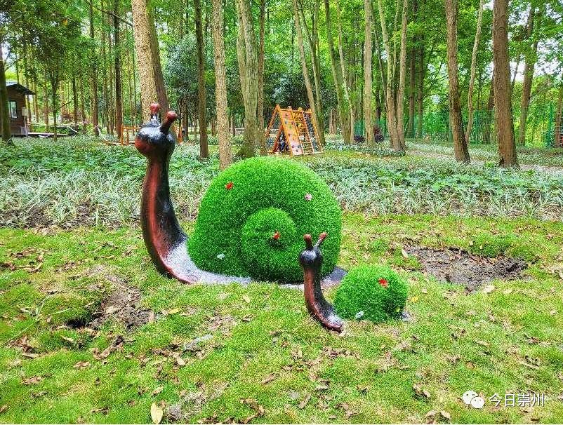 又一超好玩的亲水项目来啦！嗨翻~