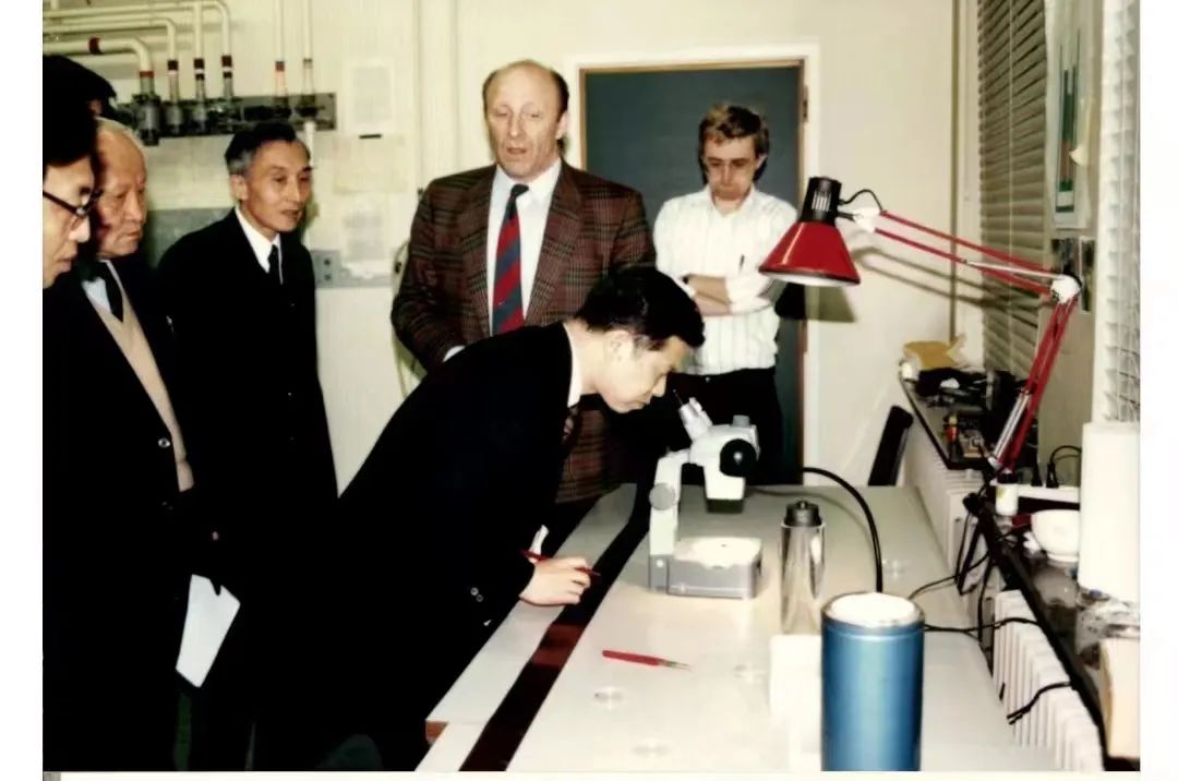 熊衍衡,袁隆平与钟南山十年前采访