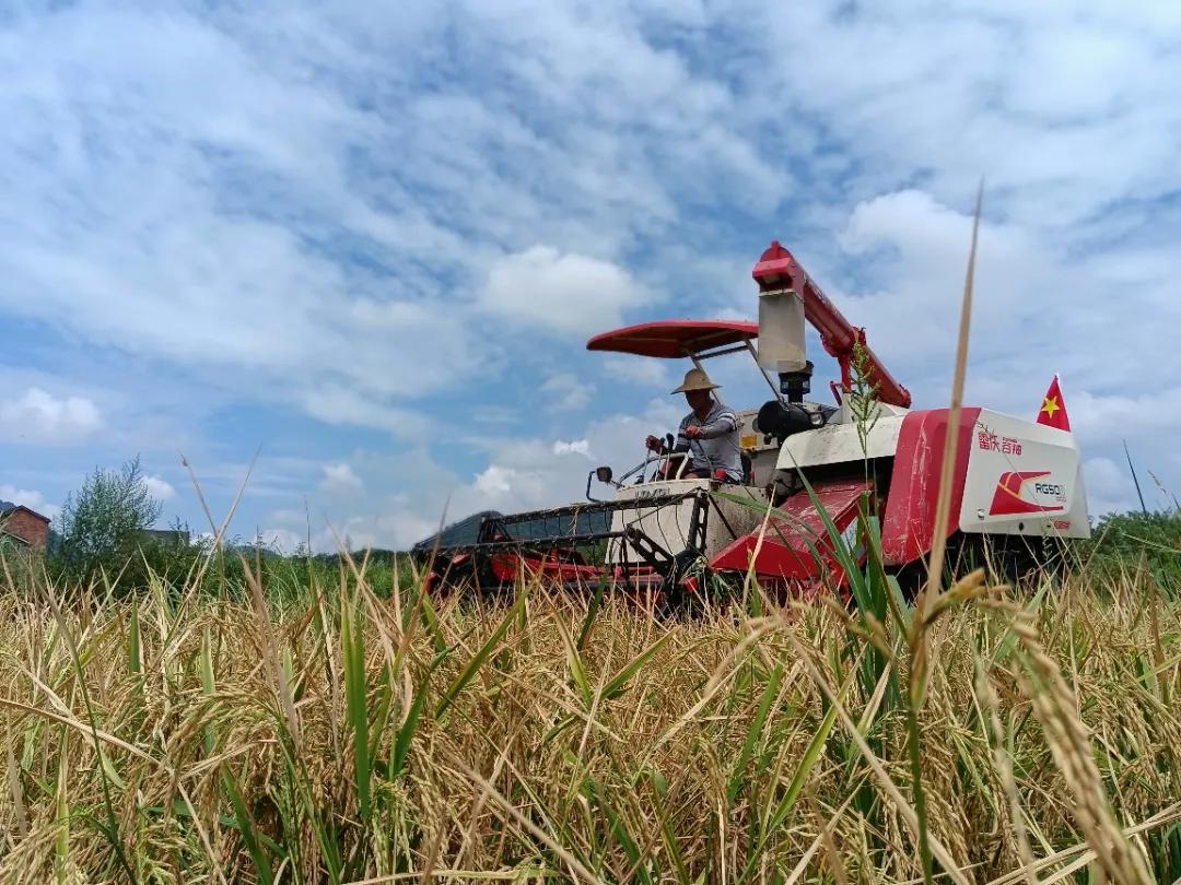 奋力开启新时代高质量发展新征程,改革开放再出发砥砺奋进新时代