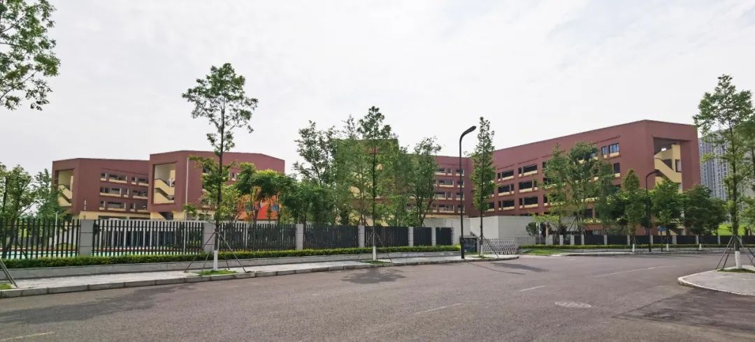 新川教科院附小怎么样,新川教科院附属小学入学条件
