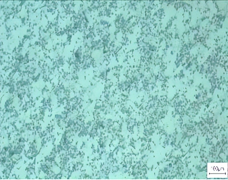 文昌新材徐骏教授：电磁搅拌吸铸技术及其在铝陶复合材料中的应用