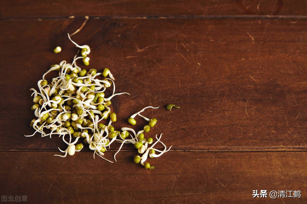 豆芽容易坏菜怎么办,豆芽生产常见问题解析