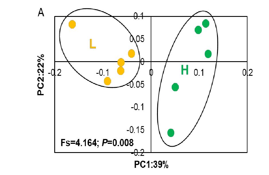 浅析高低比例棉籽壳饲粮对多浪羊消化代谢及微生物区系的影响