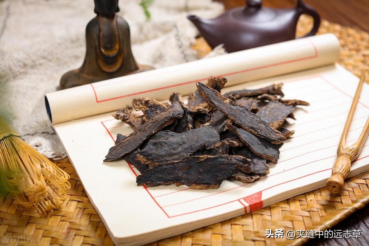 二阳咳嗽咳痰吃什么中成药,白痰和黄痰是火还是寒如何治疗