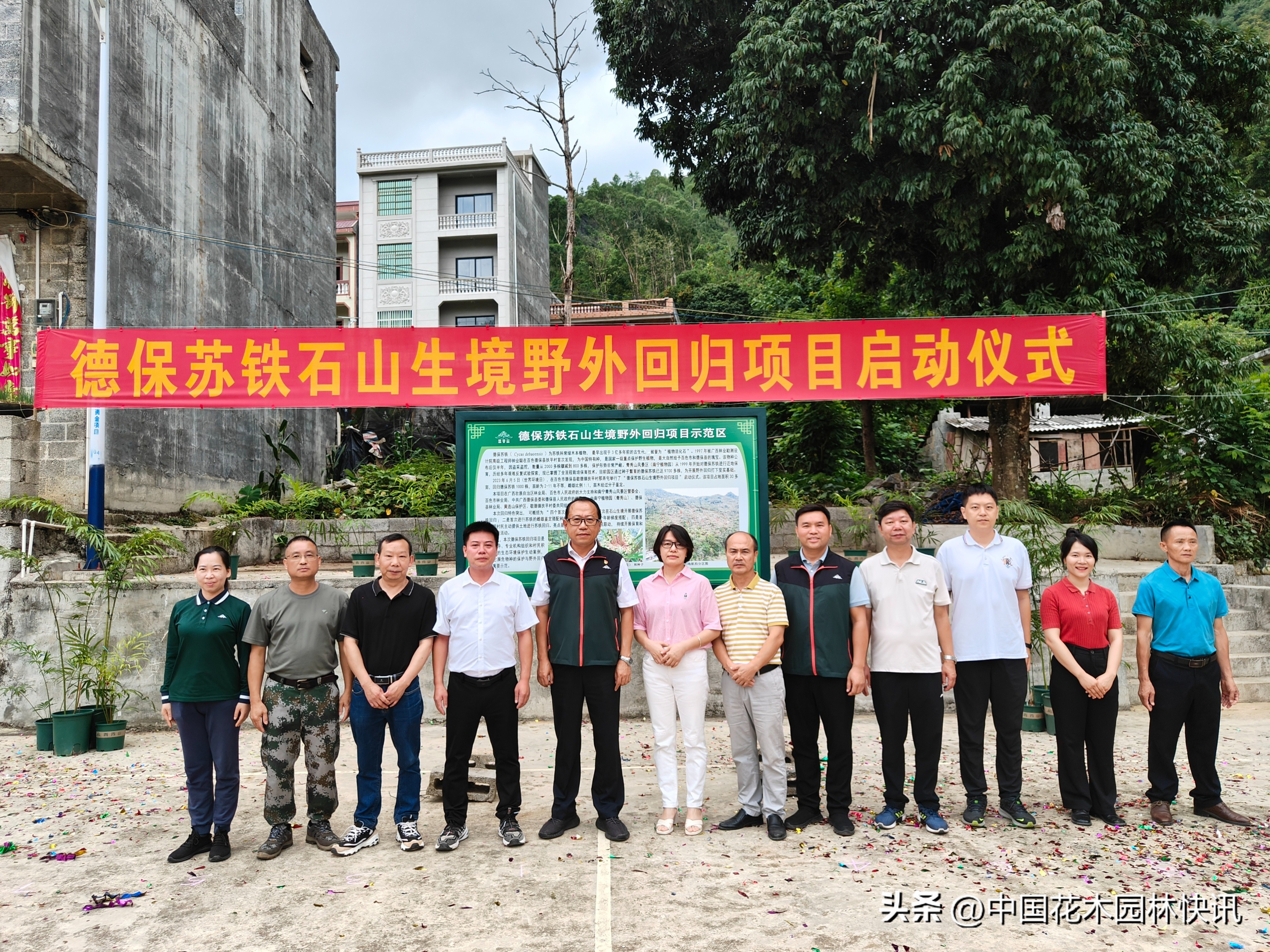 这个物种最早出现在3亿多年前，千株德保苏铁回归野外