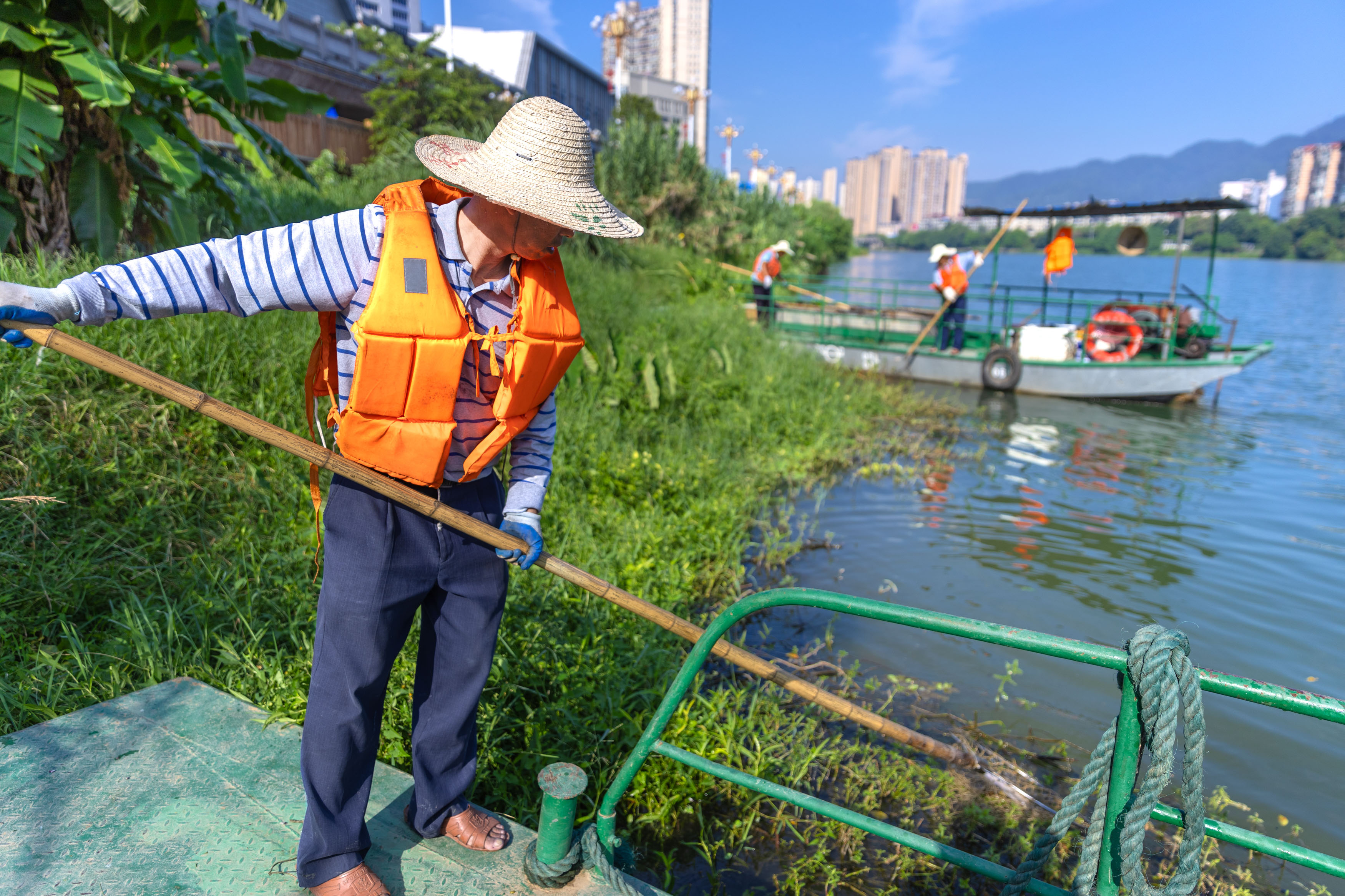 三元：烈日下的沙溪河“清道夫”汗水浸透衣衫，守护“一汪碧水”