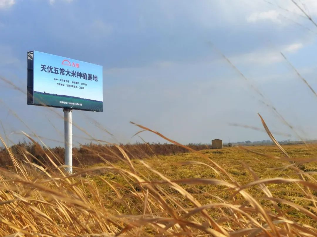 天虹股份的趋势,天虹股份的业绩