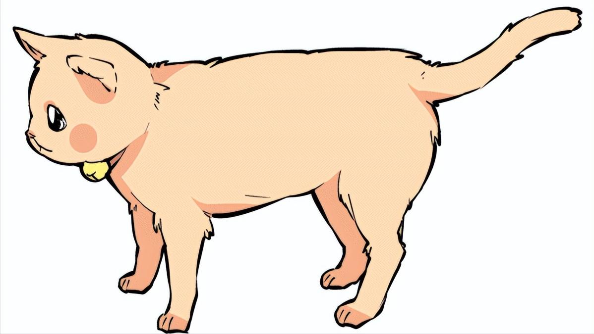 猫的尾巴,有一丢丢的“油腻”