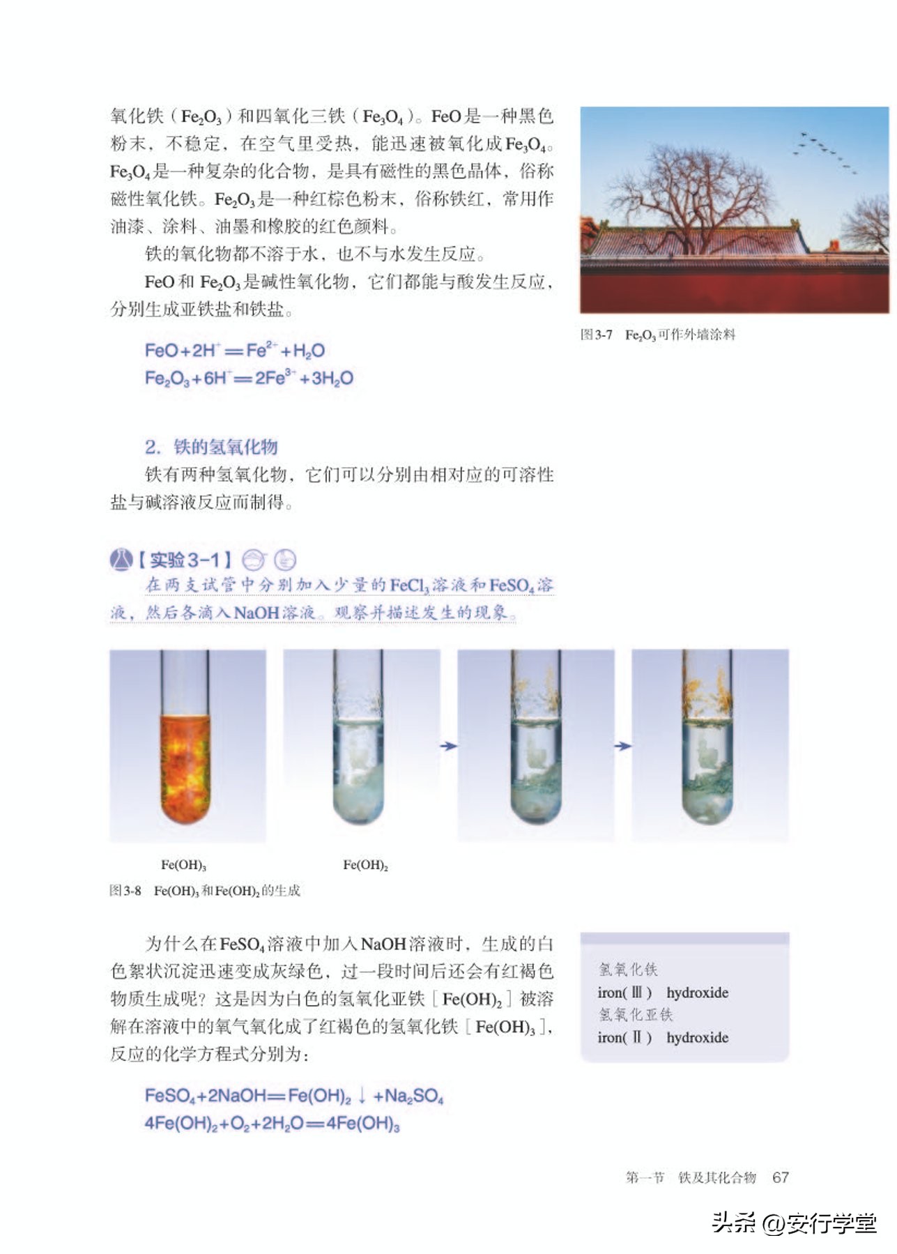 高中化学必修第一册思维导图,高中化学必修第一册知识点归纳