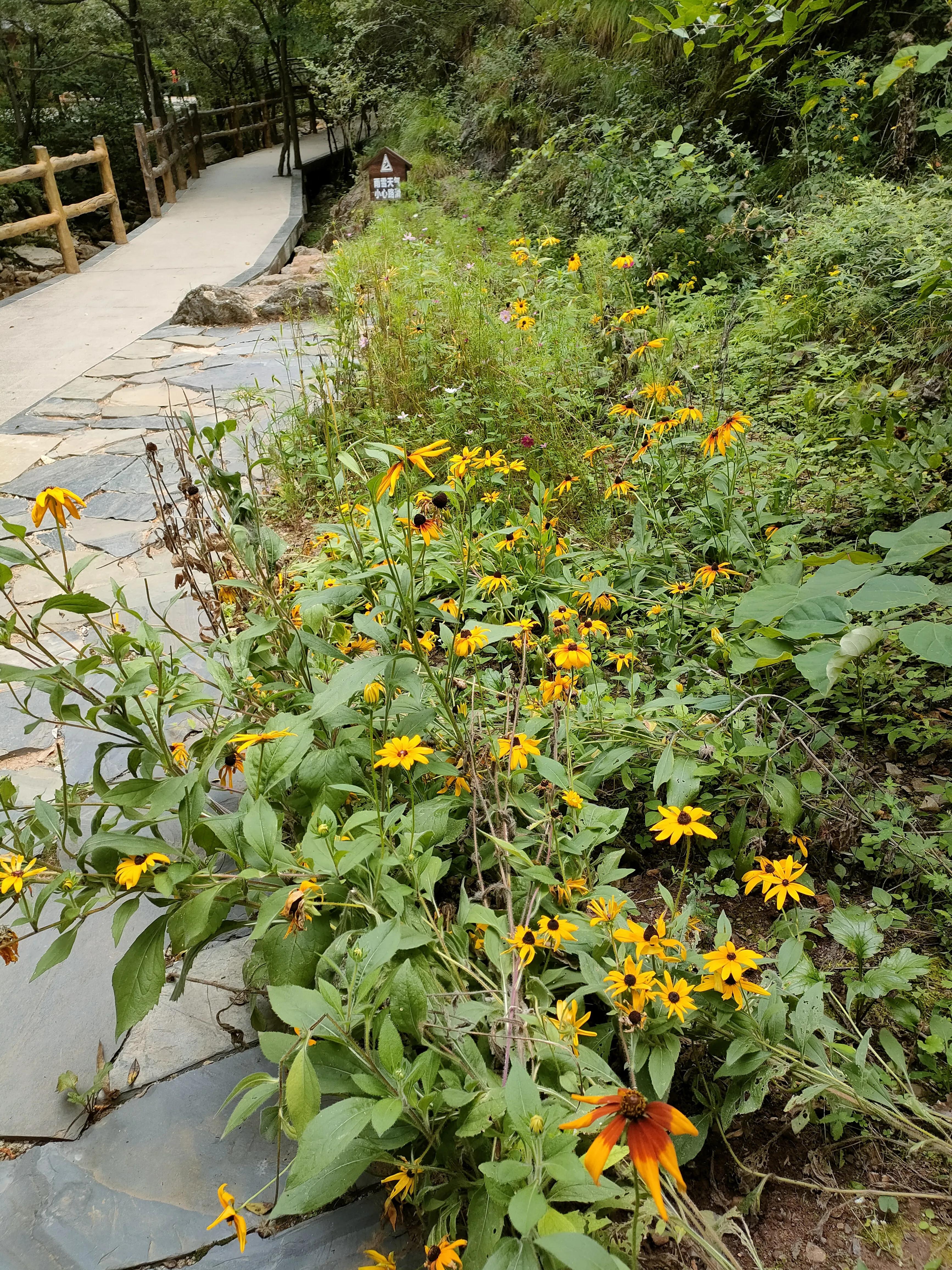 秦岭江山景区怎么样,秦岭江山景区最新通知