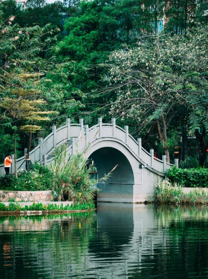 深圳游玩推荐免费遛娃,深圳十大遛娃必去景点学生党