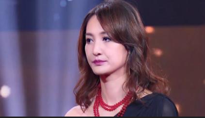 乒乓球冠军王皓简历,奥运冠军王皓和妻子现状