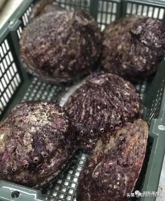 世界顶级海鲜食材,世界顶级的海鲜视频