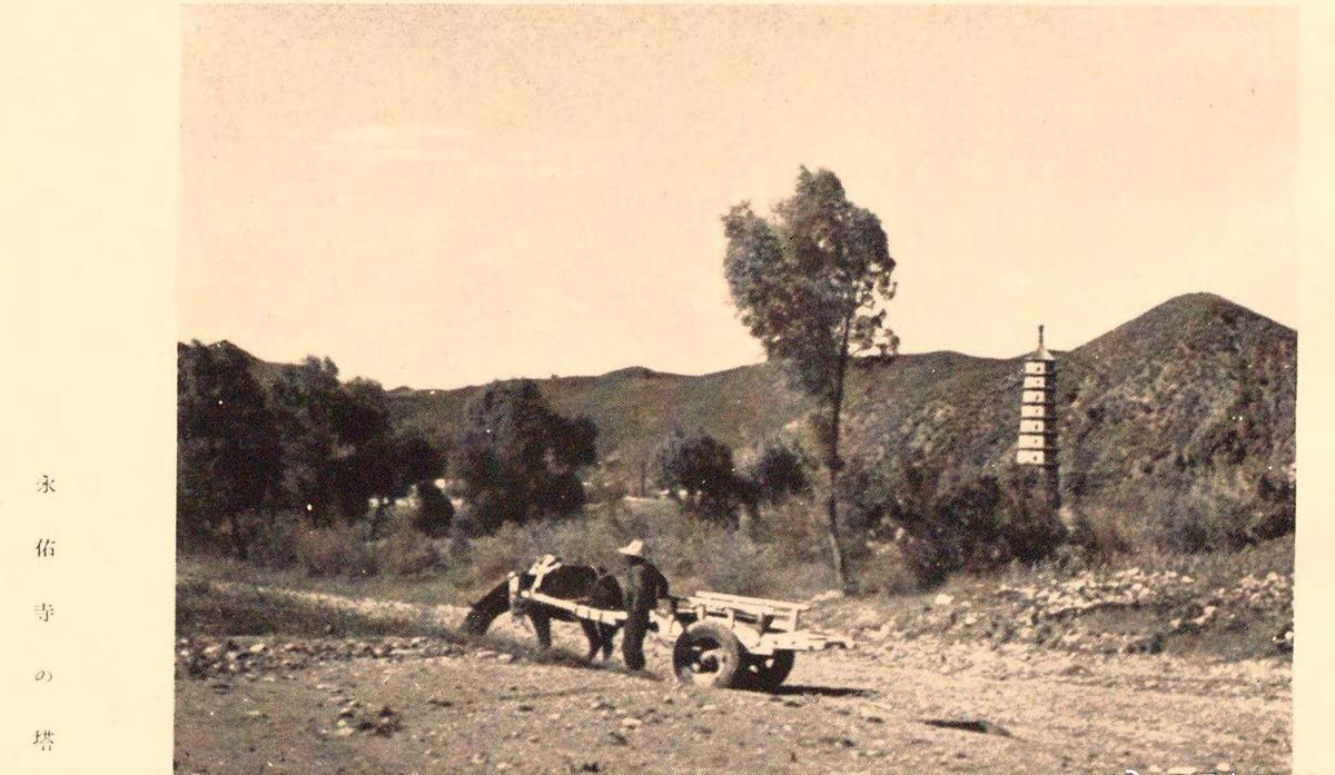 日军日记：*安妇慰**不服从管教，我很愤怒，用*刀刺**插入她的*体下**