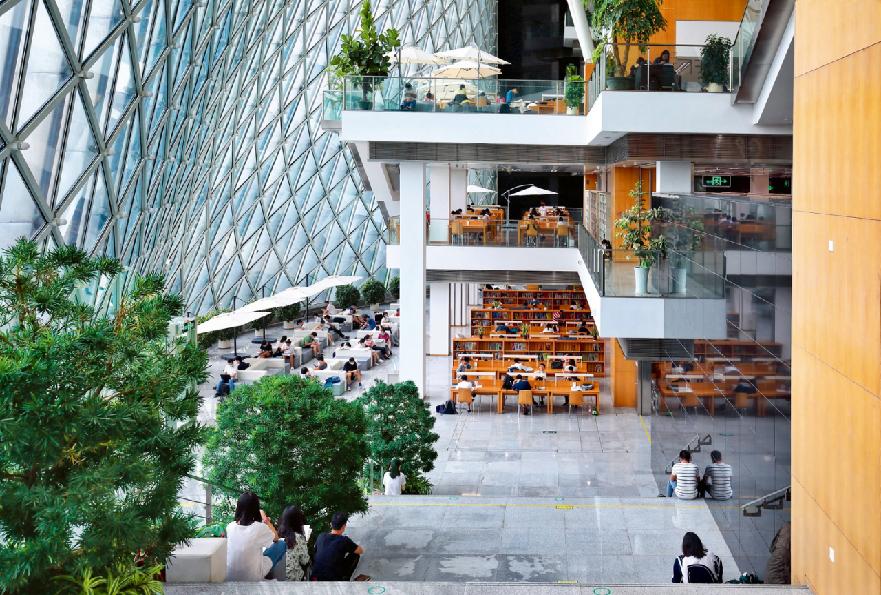 厦门深圳旅游攻略自由行,厦门和深圳游玩