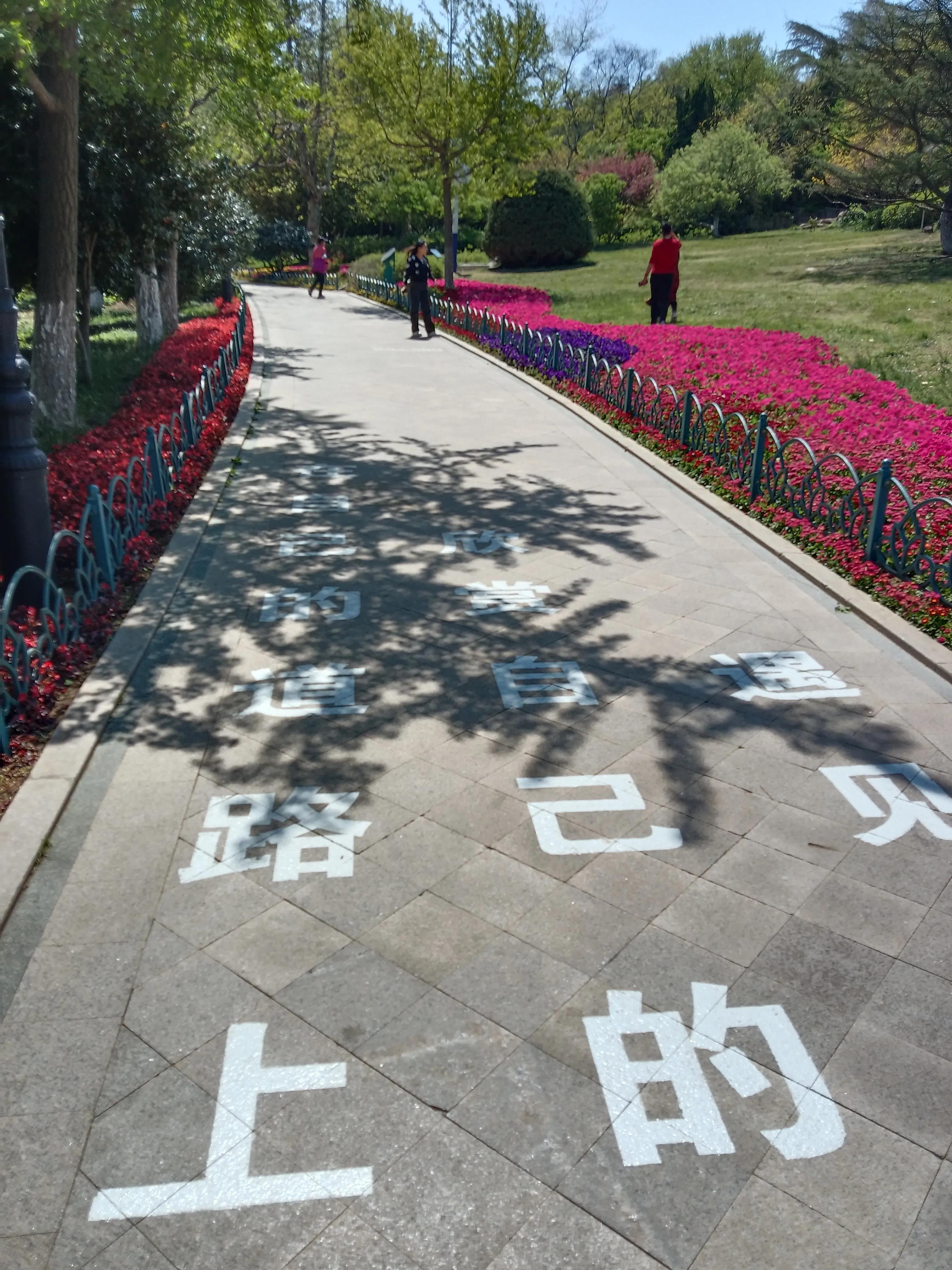 太平山绿道上的诗歌印记（原创诗歌，图片）