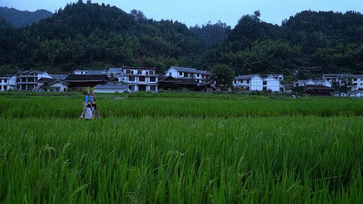 乡村振兴示范村典型案例规划设计,偏远山区乡村振兴示范村典型案例
