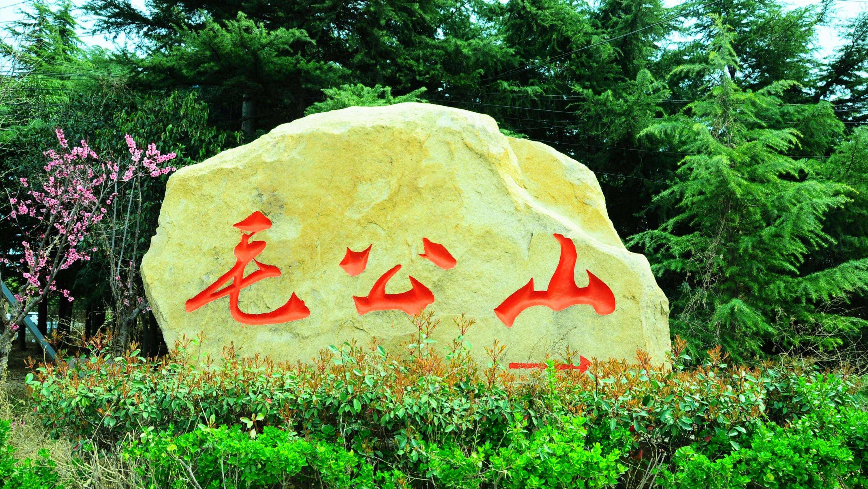 海南发现一山头长得像毛主席,孔令华跪地流泪,李讷也都感叹很像