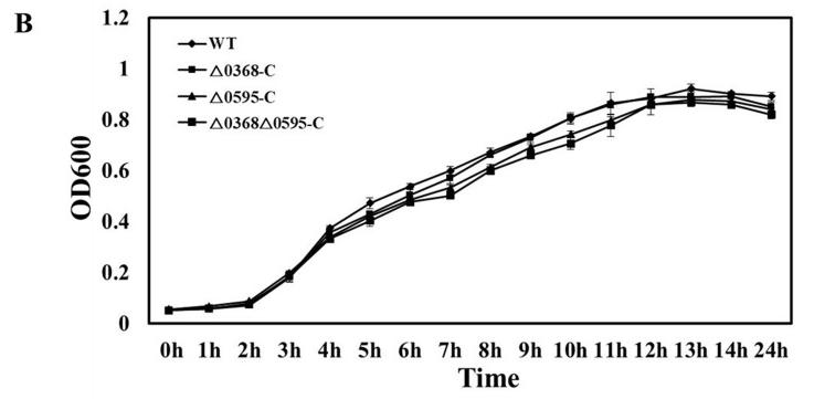 蛋白质组学基因组学转录组学,蛋白质组学在肿瘤的应用