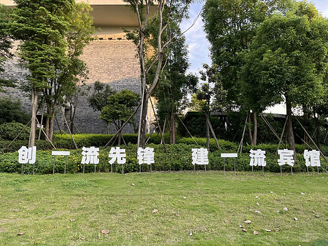 鍒濆涔嬫梾榛勯噾娴峰哺,鍒濆涔嬫梾