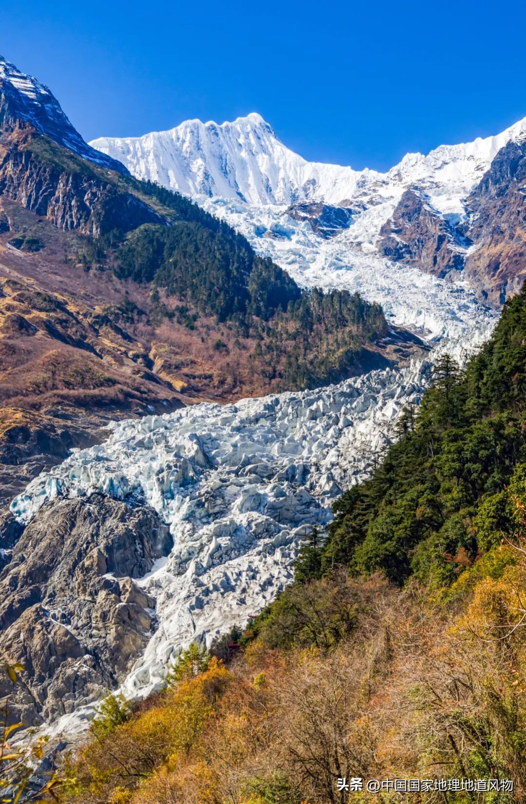 我国哪里盛产火龙果,全国最大的火龙果基地是哪里