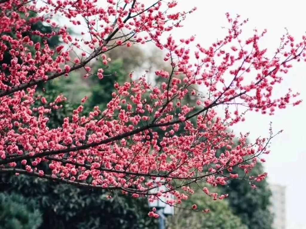 文章的标题怎么写好看又简单,怎么写好文章标题