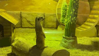 大无语事件!268元买了哈尔滨极地公园亲子票,被路人追着问了三条街!