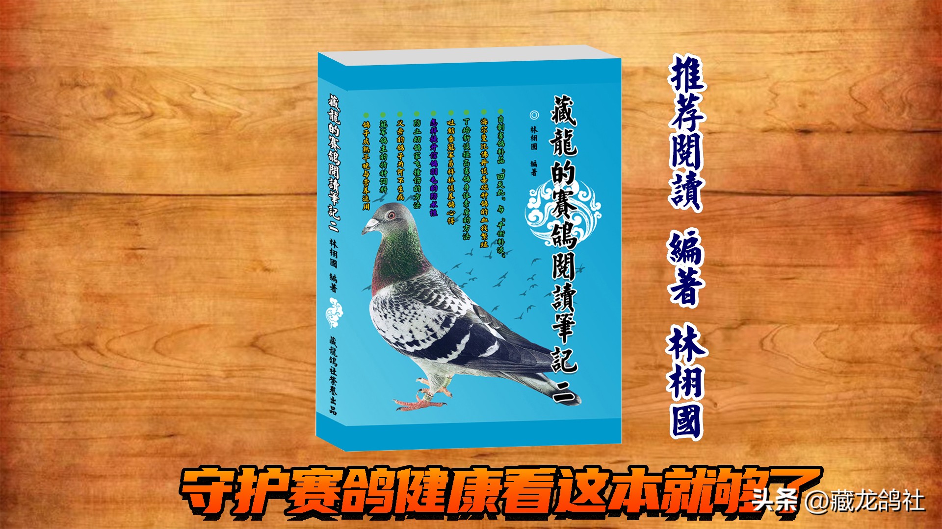 幼鸽喘气急促喂可乐,幼鸽为什么振翅