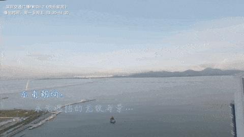 深圳富婆单身多年有儿子,深圳富婆有多低调