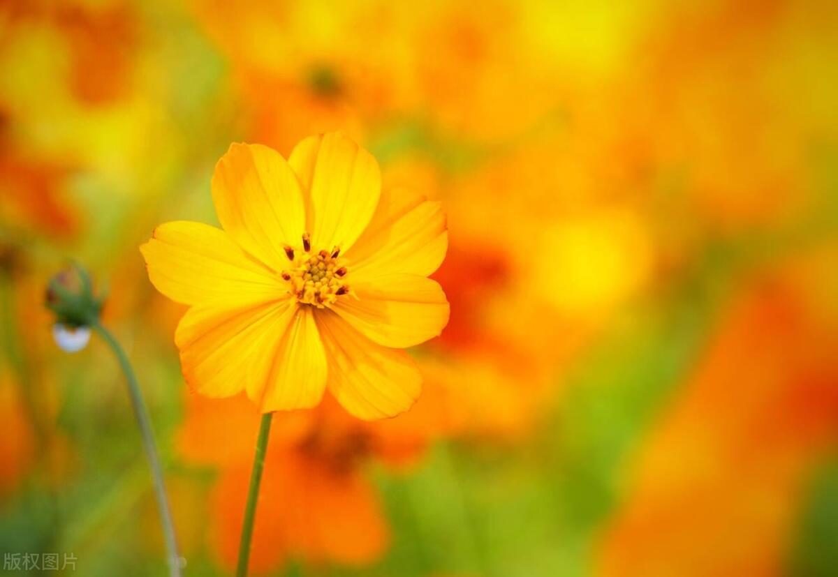 一个人开始走下坡路的10种征兆,人走下坡路前的10个征兆