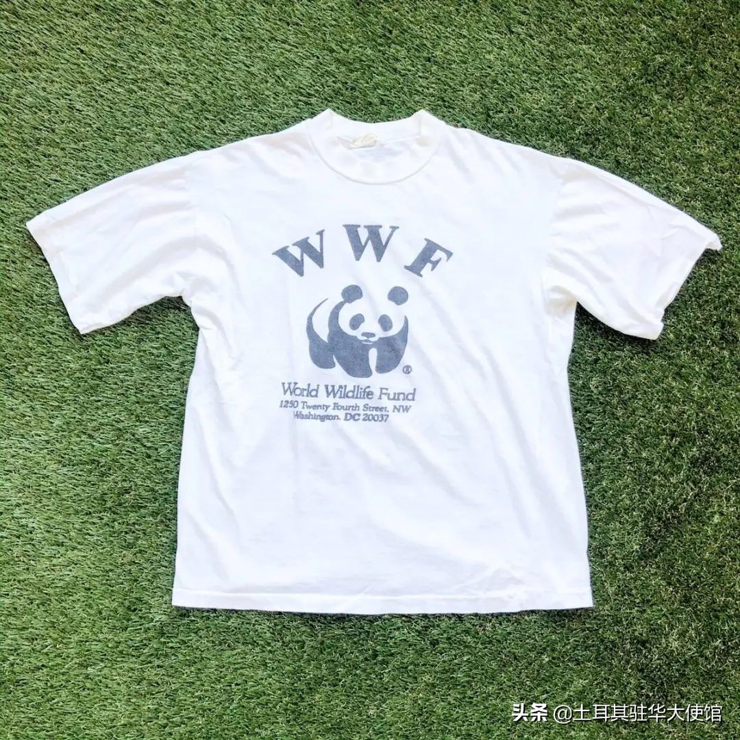 七号房的礼物土耳其免费观看,情人节碰上浪漫的土耳其