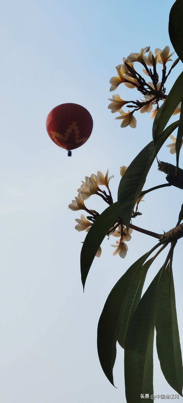 中国小伙在老挝自驾游,老两口自驾游中国